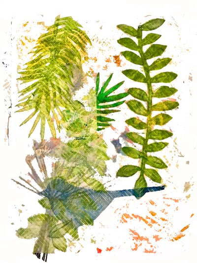 Botanical Jungle by Unbekannt Unbekannt